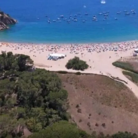 Piscina Playa Wifi Cozy Tax Free Apartment *